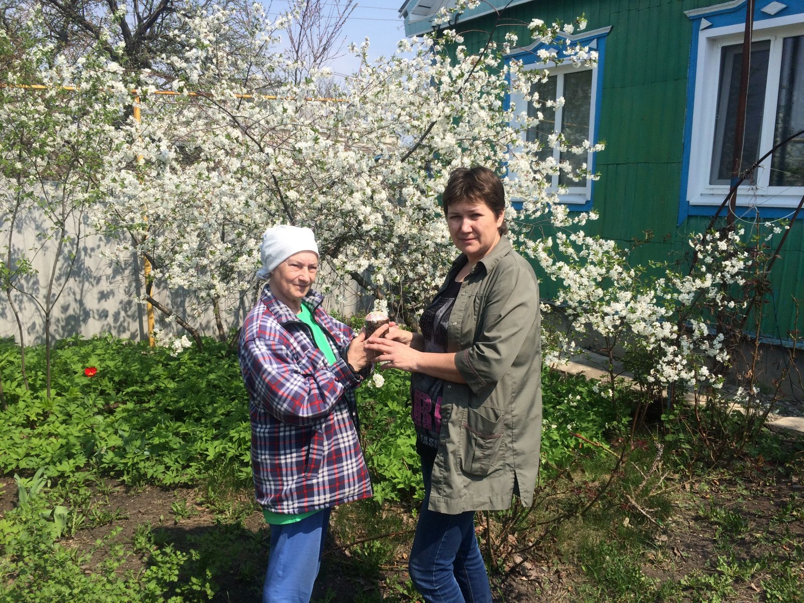Прогноз погода в митрофановка кантемировский районе. Подслушано Кантемировка. Подслушано в Митрофановке.